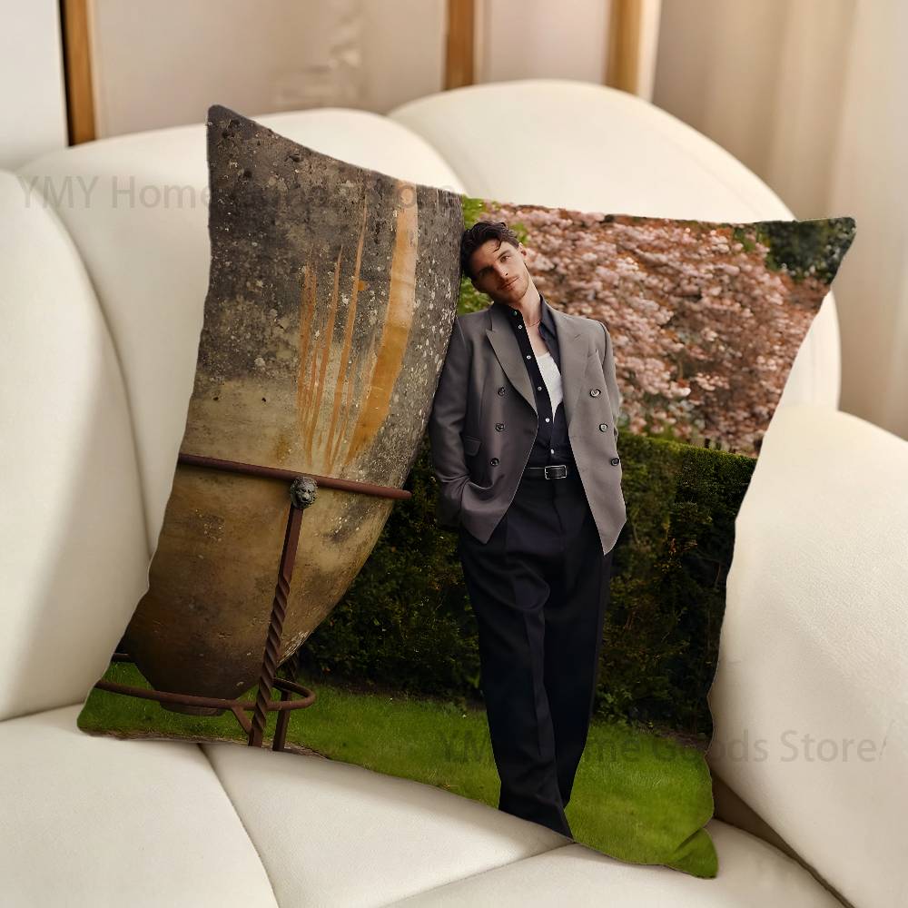 Funda de almohada con diseño d - Home Textiles Ireland reseña y precio